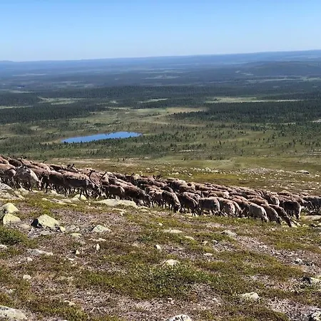 Casa de Férias Viihtyisae Moekki Riekkojen Mailla Hetassa *
