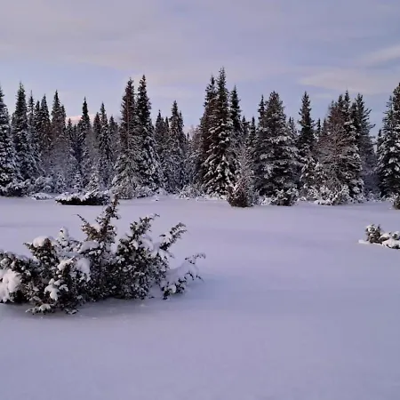 Loma-asunnot Viihtyisä Riekkojen Mailla Hetassa *