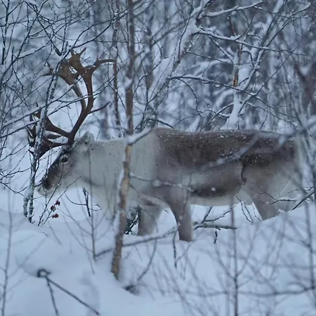 Casa de Férias Viihtyisae Moekki Riekkojen Mailla Hetassa