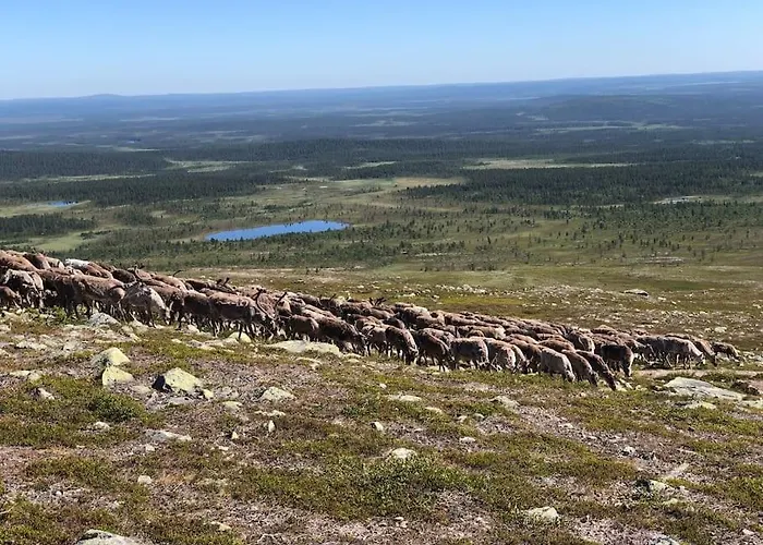 Dom wakacyjny Viihtyisae Moekki Riekkojen Mailla Hetassa *