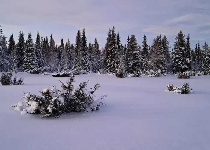Dom wakacyjny Viihtyisae Moekki Riekkojen Mailla Hetassa *