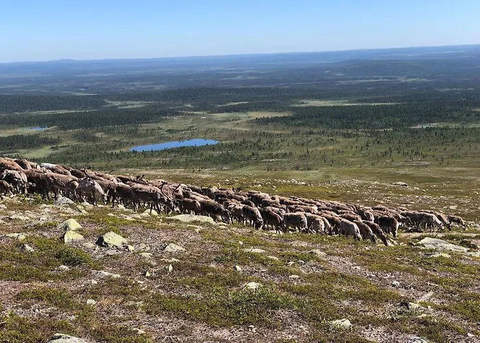 Viihtyisae Moekki Riekkojen Mailla Hetassa Dom wakacyjny *